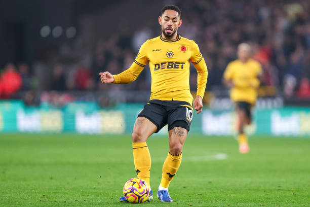 疑揭示了罗 疑揭示了罗