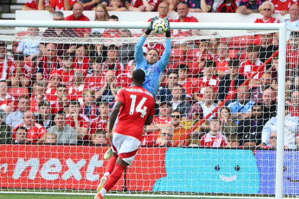 发展充满期 发展充满期